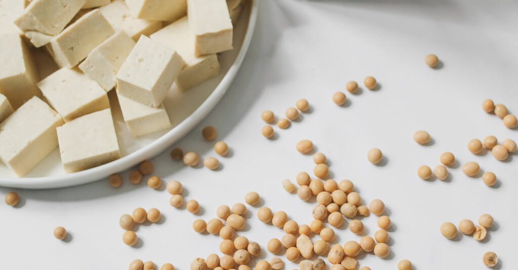 Photo of Tofu, Soybeans and Soy Milk Against White Background